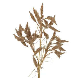 Dried Look Wheat Grass Stem 63Cm Brown by Florabelle Living, a Plants for sale on Style Sourcebook