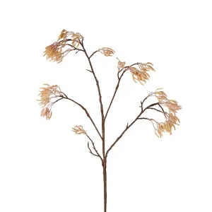 Kangaroo Paw Branch 125Cm Apricot by Florabelle Living, a Plants for sale on Style Sourcebook