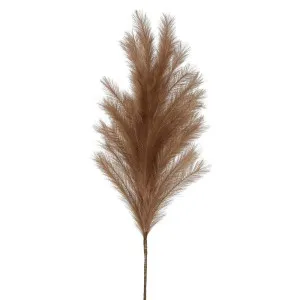 Wheat Grass 1.1M Brown by Florabelle Living, a Plants for sale on Style Sourcebook