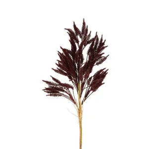 Wheat Stem 66Cm Deep Plum by Florabelle Living, a Plants for sale on Style Sourcebook