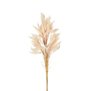 Wheat Stem 66Cm Blush Pink by Florabelle Living, a Plants for sale on Style Sourcebook