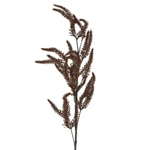 Dried Look Grass Frond 1M Brown by Florabelle Living, a Plants for sale on Style Sourcebook