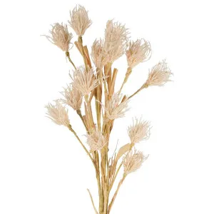 Wheat Flower Stem 75Cm White by Florabelle Living, a Plants for sale on Style Sourcebook
