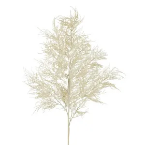 Wild Branch Natural Large by Florabelle Living, a Plants for sale on Style Sourcebook