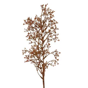 Dried Look Grass Seed Spray 75Cm Brown by Florabelle Living, a Plants for sale on Style Sourcebook