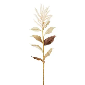 Wheat With Leaves 50Cm Stem Cream by Florabelle Living, a Plants for sale on Style Sourcebook