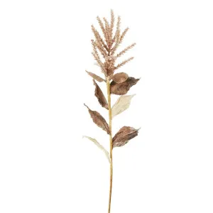 Wheat With Leaves 50Cm Stem Brown by Florabelle Living, a Plants for sale on Style Sourcebook