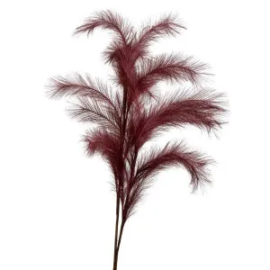 Wheat Rabbit Tail 1.2 Plum by Florabelle Living, a Plants for sale on Style Sourcebook