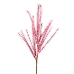 Wheat Rabbit Tail 1.2M Light Pink by Florabelle Living, a Plants for sale on Style Sourcebook