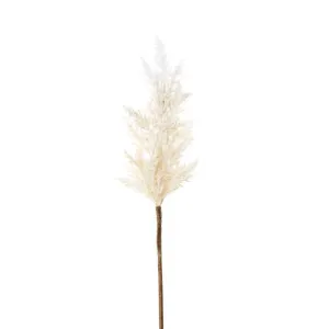Wheat Astilbe Flower Stem 75Cm White by Florabelle Living, a Plants for sale on Style Sourcebook