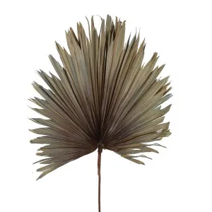 Preserved Palm Leaf Grey Blue Large by Florabelle Living, a Plants for sale on Style Sourcebook