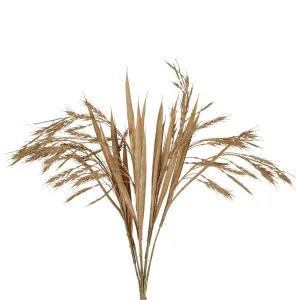Wheat Bush Stem 50Cm Brown by Florabelle Living, a Plants for sale on Style Sourcebook