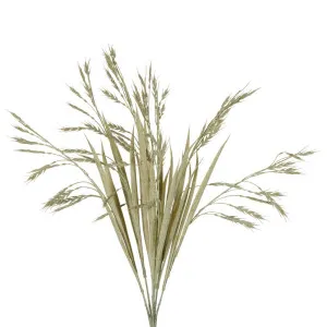 Wheat Bush Stem 50Cm Sage by Florabelle Living, a Plants for sale on Style Sourcebook