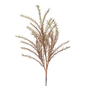 Wild Twig Grass 90Cm Light Brown by Florabelle Living, a Plants for sale on Style Sourcebook