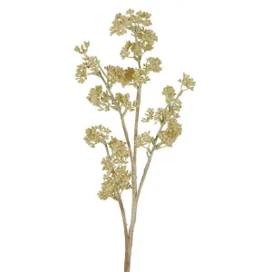 Grass Seed Spray 66Cm Cream by Florabelle Living, a Plants for sale on Style Sourcebook