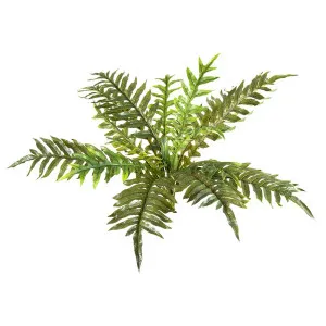 Fern Foot Real Touch 55Cm by Florabelle Living, a Plants for sale on Style Sourcebook