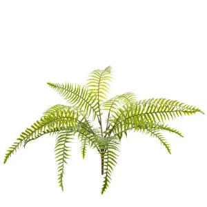 Fern Pick 50Cm Green by Florabelle Living, a Plants for sale on Style Sourcebook