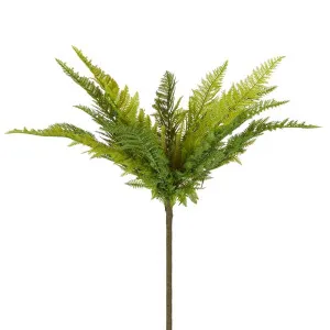 Native Fern Green by Florabelle Living, a Plants for sale on Style Sourcebook