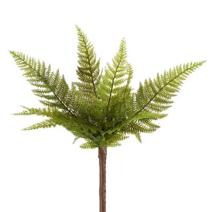 Small Native Fern Green by Florabelle Living, a Plants for sale on Style Sourcebook