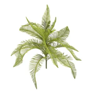 Fern Feather Bush 50Cm by Florabelle Living, a Plants for sale on Style Sourcebook