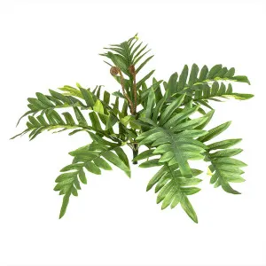 Fern River 50Cm by Florabelle Living, a Plants for sale on Style Sourcebook