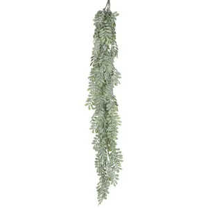 Pepper Fern Hanging Vine 115Cm by Florabelle Living, a Plants for sale on Style Sourcebook