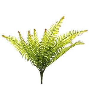 Fern Bush 50Cm by Florabelle Living, a Plants for sale on Style Sourcebook