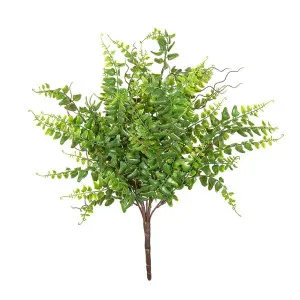 Fern Bush 45Cm by Florabelle Living, a Plants for sale on Style Sourcebook