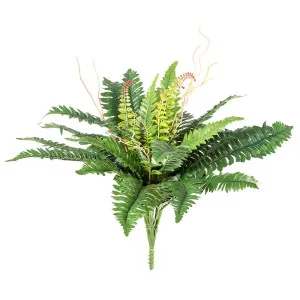 Boston Fern Bush 61Cm by Florabelle Living, a Plants for sale on Style Sourcebook