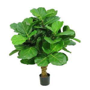 Fiddle Leaf Tree W/70 Leaves 1.2M by Florabelle Living, a Plants for sale on Style Sourcebook