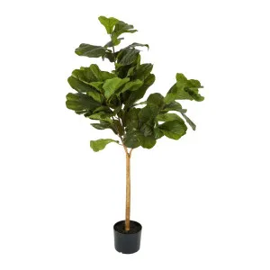 Fiddle Leaf Tree Real Touch 1.32M by Florabelle Living, a Plants for sale on Style Sourcebook