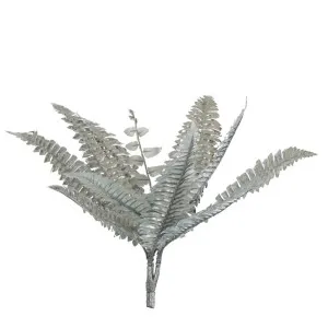 Boston Fern Metallic Silver by Florabelle Living, a Plants for sale on Style Sourcebook