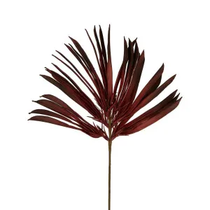 Ombre Fan Palm Leaf Stem Red by Florabelle Living, a Plants for sale on Style Sourcebook