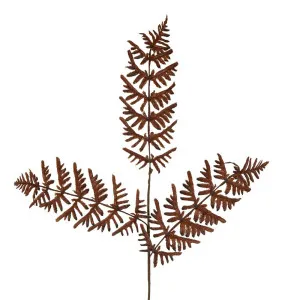 Dried Fern Leaf Stem Natural by Florabelle Living, a Plants for sale on Style Sourcebook