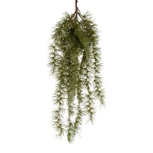 Sula Glitter Pine Hanging Spray by Florabelle Living, a Plants for sale on Style Sourcebook