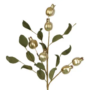Pomegranate Stem Gold by Florabelle Living, a Plants for sale on Style Sourcebook