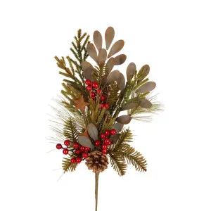 Aride Pine Stem by Florabelle Living, a Plants for sale on Style Sourcebook