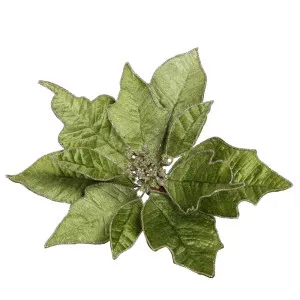 Velve Clip On Poinsettia Green by Florabelle Living, a Plants for sale on Style Sourcebook