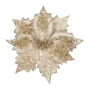 Stella Clip On Poinsettia Champagne by Florabelle Living, a Plants for sale on Style Sourcebook