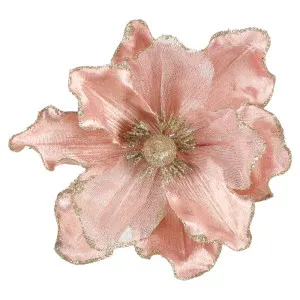 Mena Clip On Magnolia Light Pink by Florabelle Living, a Plants for sale on Style Sourcebook