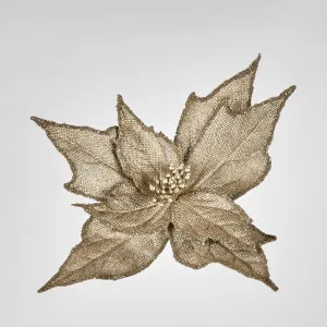 Burlap Poinsettia Stem Champagne by Florabelle Living, a Plants for sale on Style Sourcebook