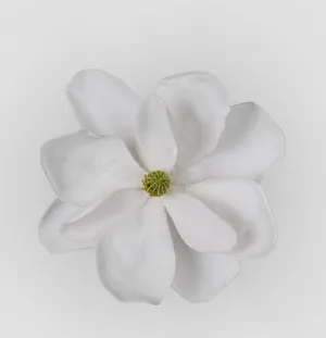 Grandiflora Clip On Velvet Magnolia Flower White by Florabelle Living, a Plants for sale on Style Sourcebook