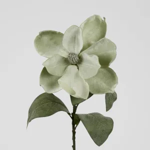 Grandiflora Velvet Magnolia Stem Green by Florabelle Living, a Plants for sale on Style Sourcebook