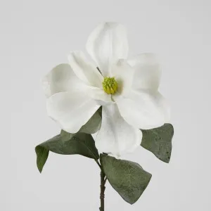 Grandiflora Velvet Magnolia Stem White by Florabelle Living, a Plants for sale on Style Sourcebook