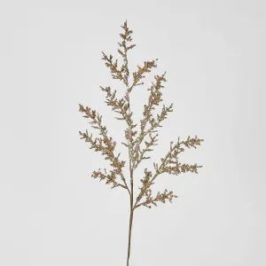 Berry Sparkle Stem Bronze by Florabelle Living, a Plants for sale on Style Sourcebook