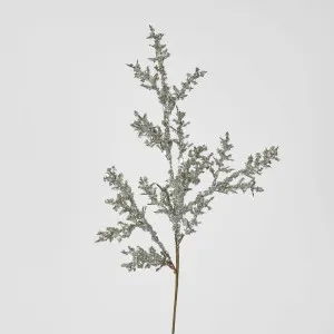 Berry Sparkle Stem Silver by Florabelle Living, a Plants for sale on Style Sourcebook