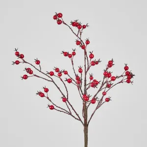 Berry Stem Red by Florabelle Living, a Plants for sale on Style Sourcebook