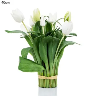 Tulip Bundle Wrapped 40Cm White by Florabelle Living, a Plants for sale on Style Sourcebook