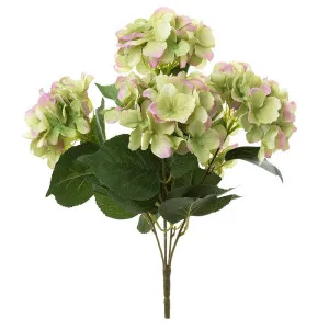 Hydrangea Bundle With Leaves 55Cm Green & Pink by Florabelle Living, a Plants for sale on Style Sourcebook
