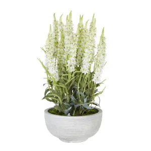 Veronica Arrangement In Cement Pot White by Florabelle Living, a Plants for sale on Style Sourcebook